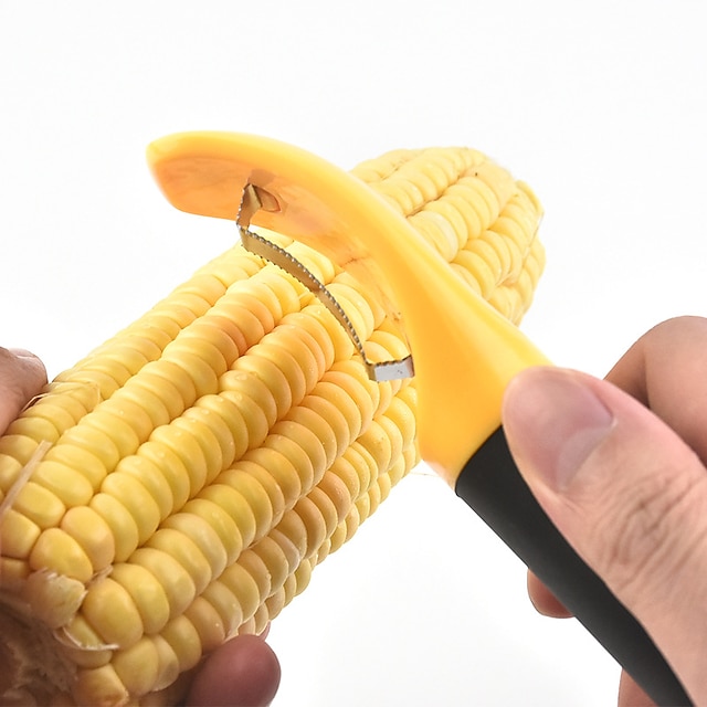 JK7NM4FQ_481.jpg