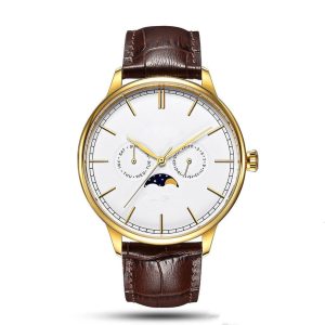 Moon phase watch